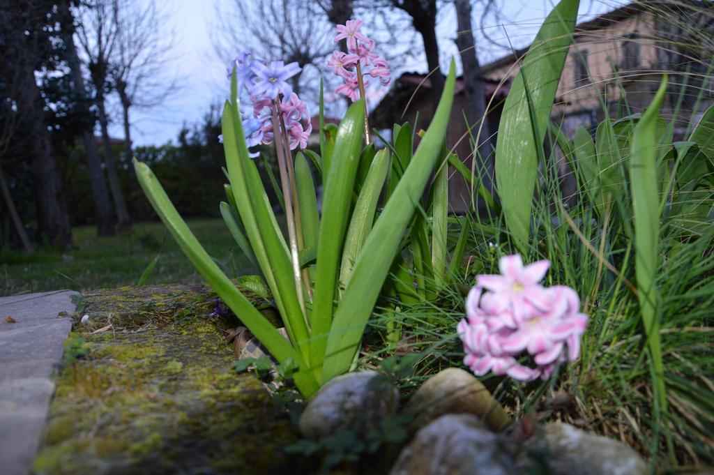 Appartamento Casa Della Nonna Noventa di Piave Exteriér fotografie