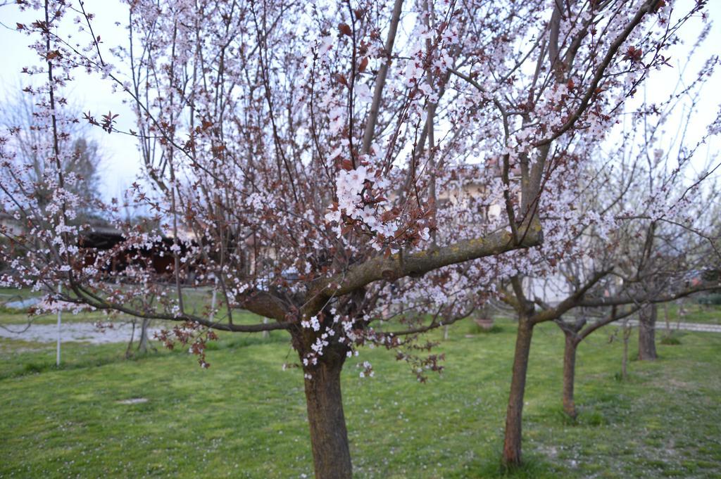 Appartamento Casa Della Nonna Noventa di Piave Exteriér fotografie